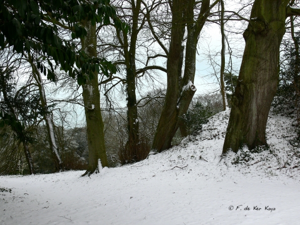 Bois des Moutiers Winterreise (18)